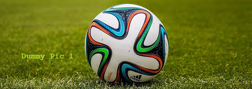 a soccer ball on the grass